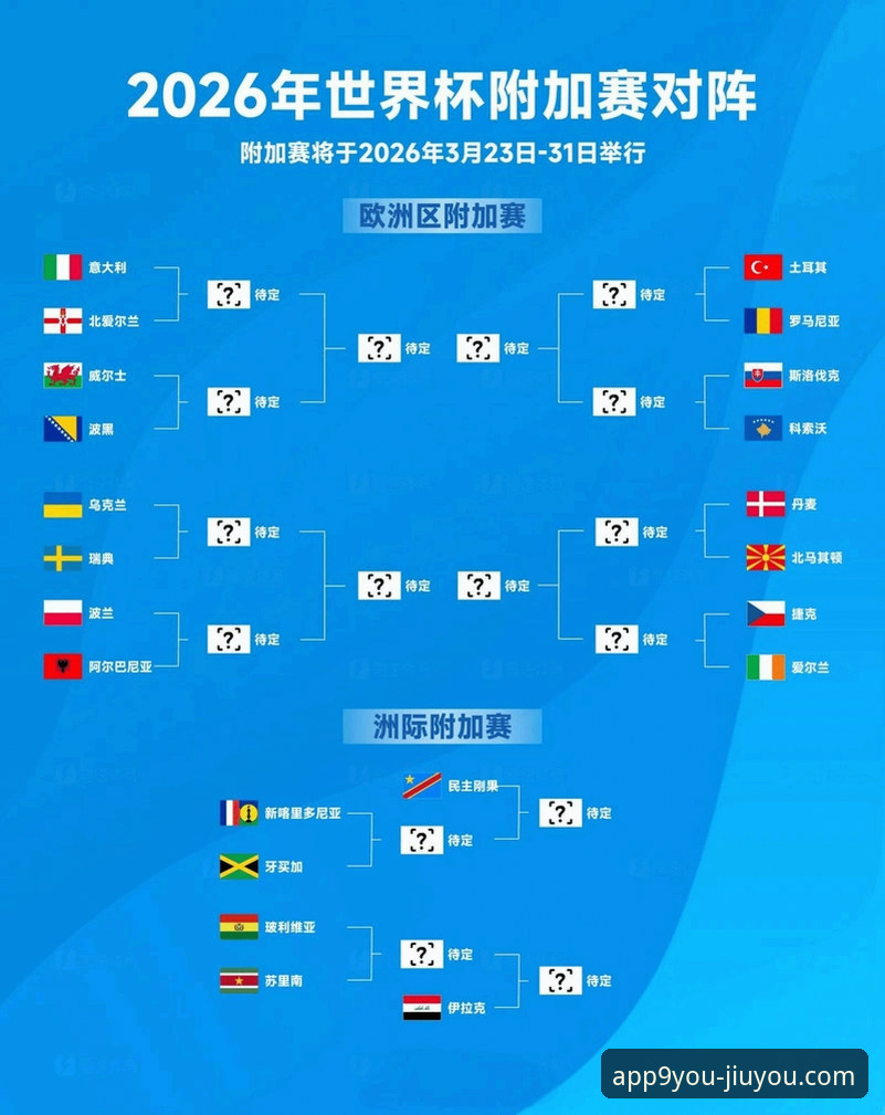 九游游戏盒子必备 阿根廷新星重伤无缘世界杯:九游体育平台赛事信息深度解析实用指南